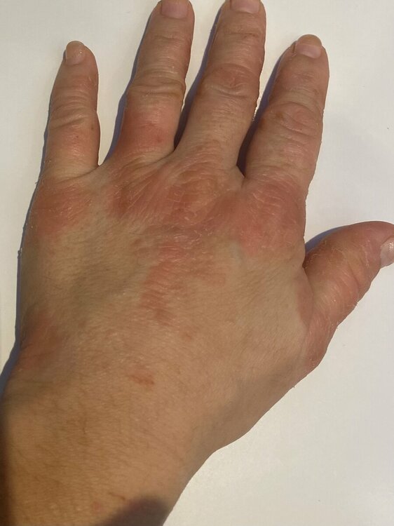 FF9DF792-0AAA-4C93-89C8-EF43ED8CF6DA.jpeg