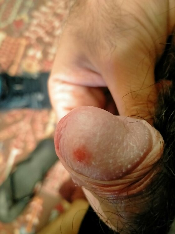IMG20221107093319.jpg