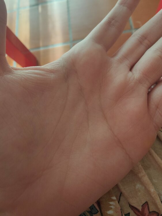 IMG20221119122934.thumb.jpg.20aeaefa129793bd7dec0d79611bc729.jpg