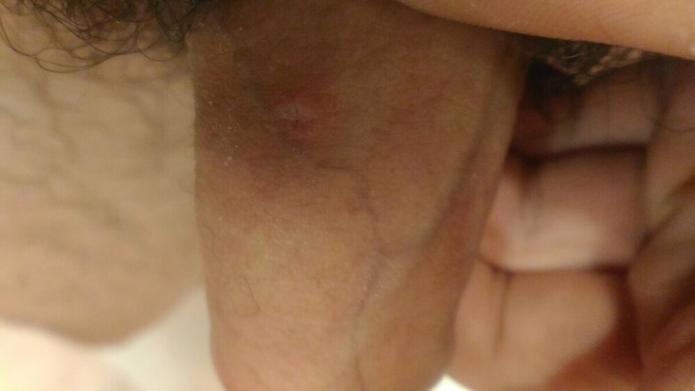 P_20221125_200843.jpg