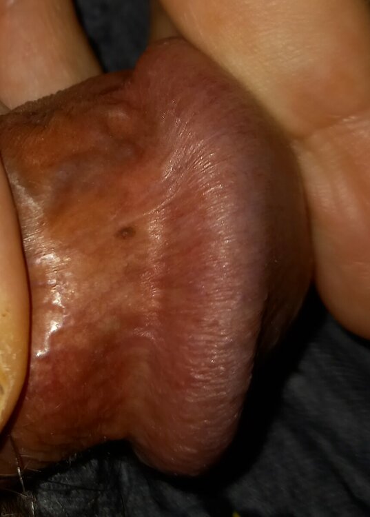 20221214_173056.jpg
