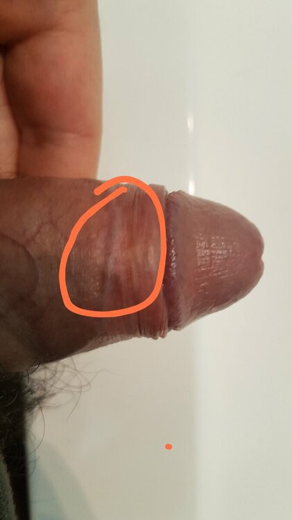 20221220_113712.jpg