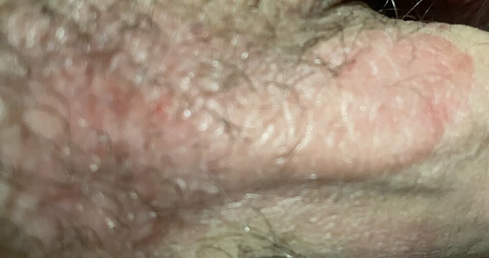 65936C15-0685-46E9-BD29-AA539C9A3CFC.jpeg