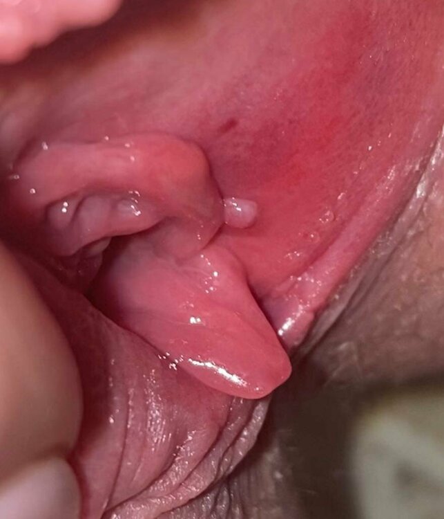 C00210BC-63D2-43DA-B21A-14A0CED723AD.thumb.jpeg.15aa232b7d72b272299a5bd38e730c96.jpeg