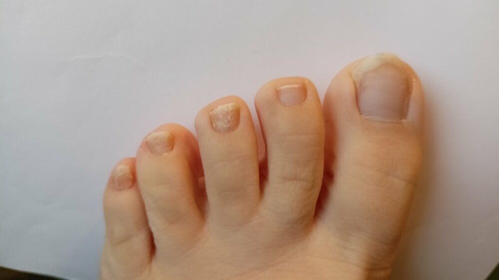 IMG20221212090924.jpg