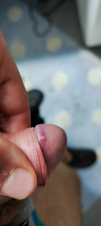 IMG_20221204_120416.jpg