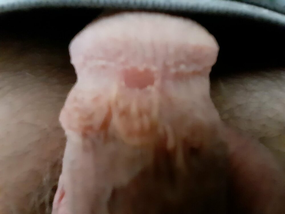 foto 3.jpeg