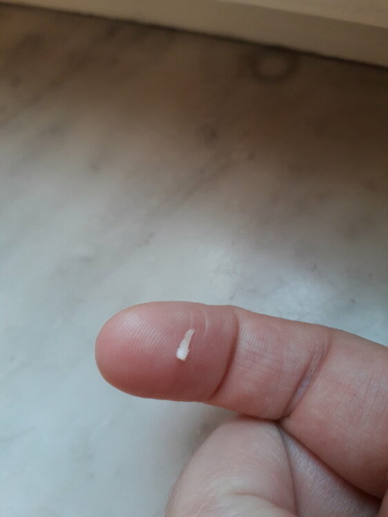 20230113_104101.jpg