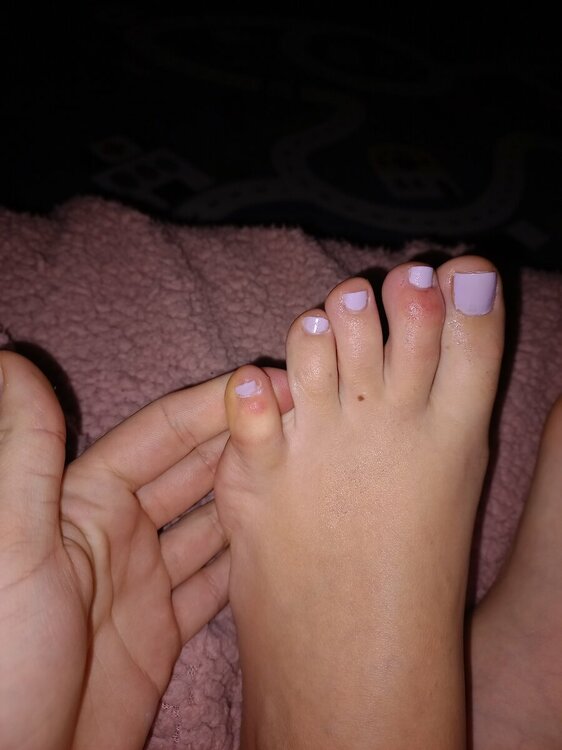 20230117_005205.thumb.jpg.043dea506d049ee05845fd63f4bd290b.jpg