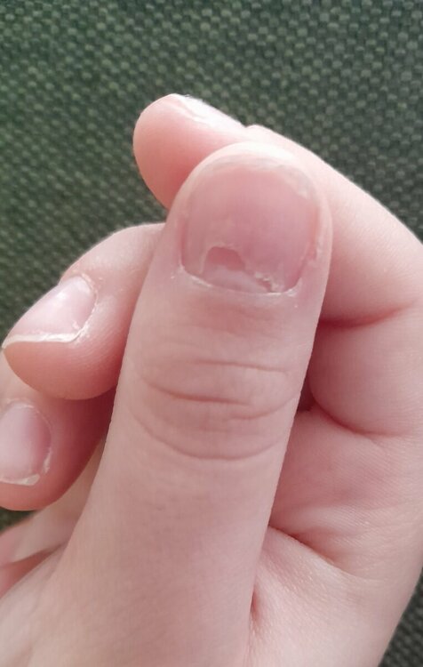 20230124_164349.thumb.jpg.fd5242260550ee3280c0fee577998d53.jpg