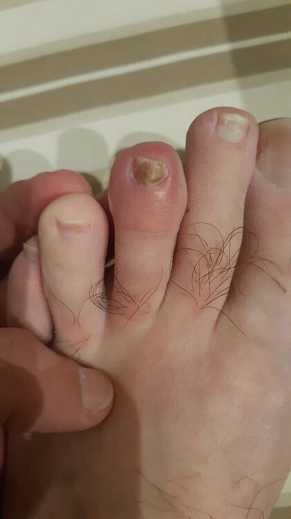 20230131_191546.jpg