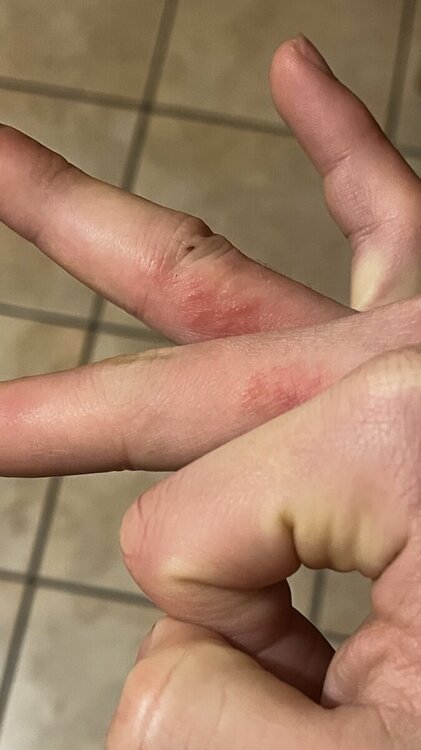 63A9B6C2-D063-408C-AF04-61B03E4068BA.thumb.jpeg.bbac71d496771512fa97bb9848b08f66.jpeg