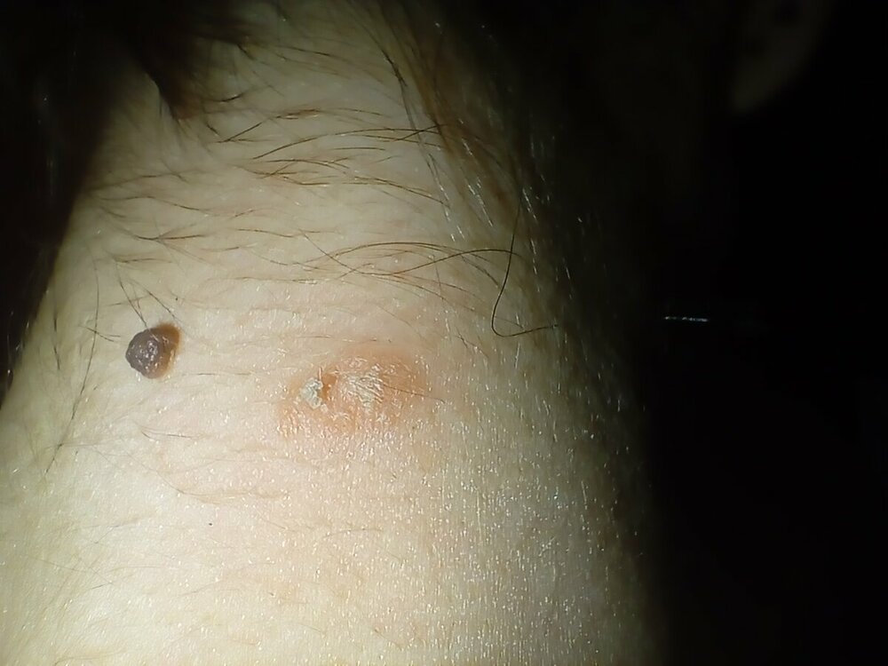 IMG20230121195018.jpg