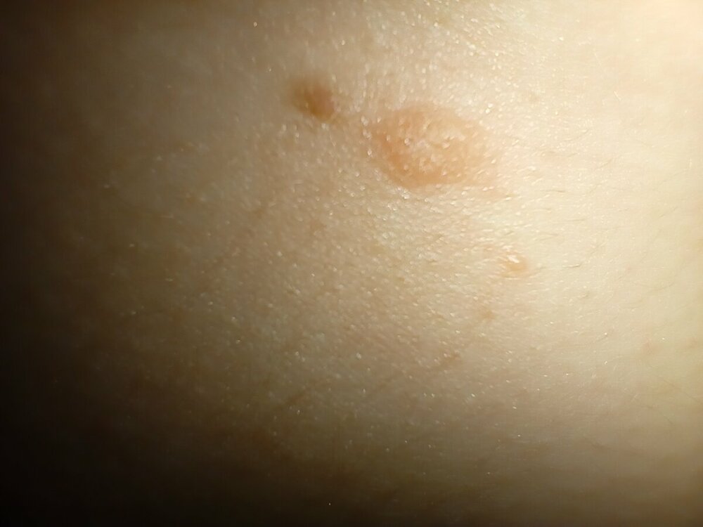 IMG20230121195052.jpg