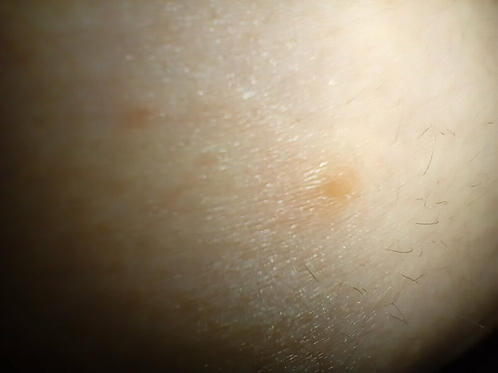IMG20230121195749.jpg