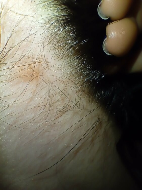 IMG20230121195856.jpg