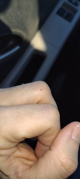 IMG_20230110_085905174.jpg