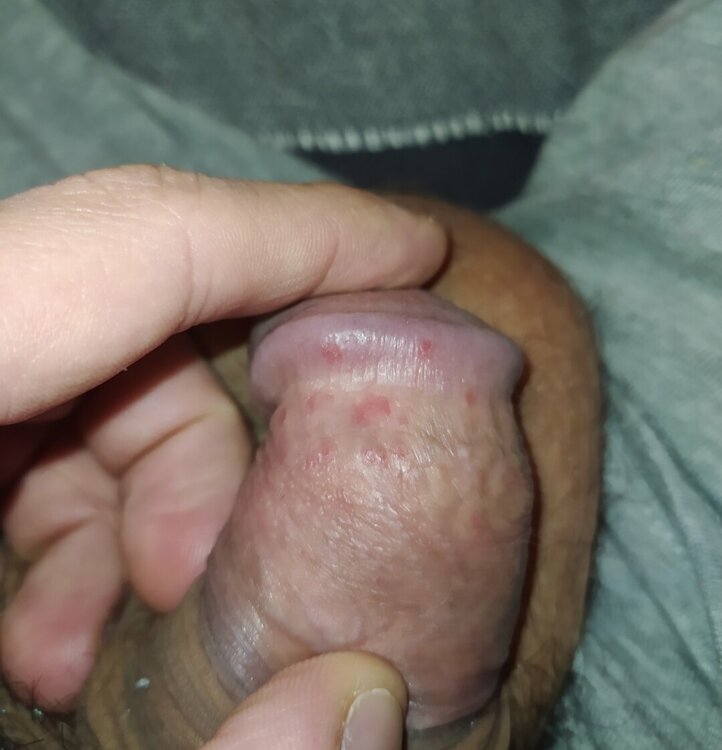 IMG_20230115_205847.jpg