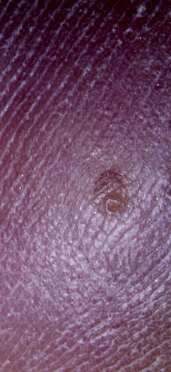 Screenshot_20230110-164457_Gallery.thumb.jpg.6c613a4da868991bc415a249b26f97bb.jpg