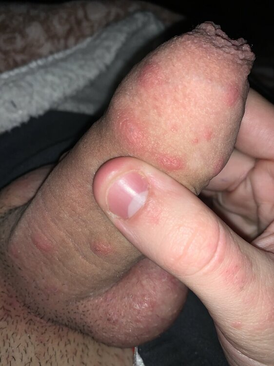image.jpg