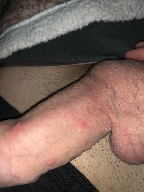image.jpg