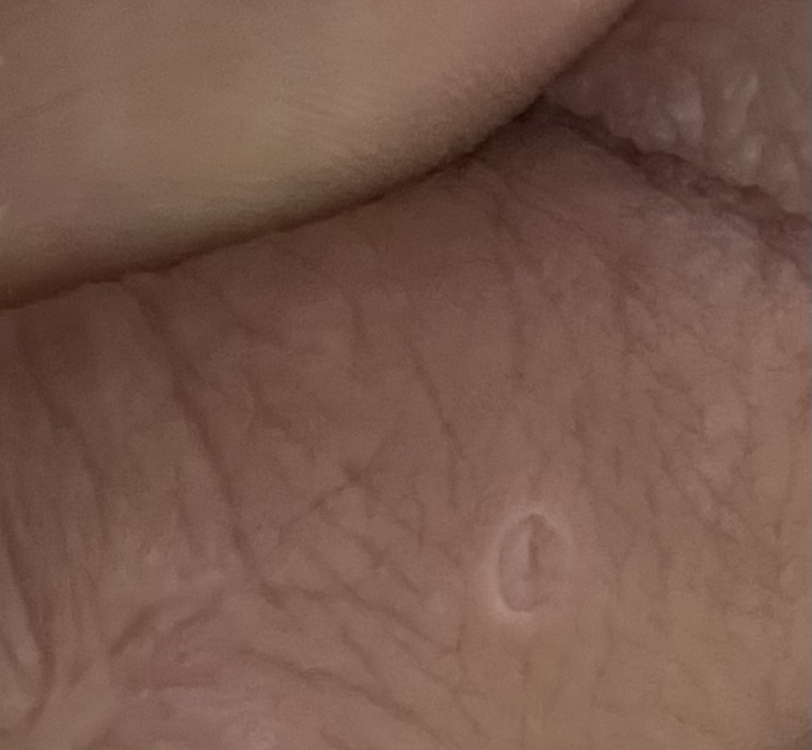 sfsfsfs.thumb.png.8af59980d49f2a84c18fa72896bb82d8.png