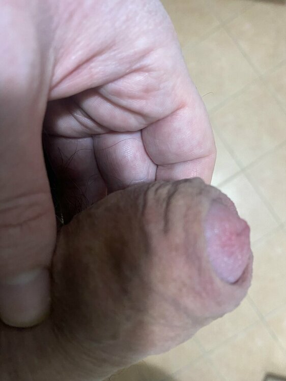 thumbnail_IMG_3964.jpg