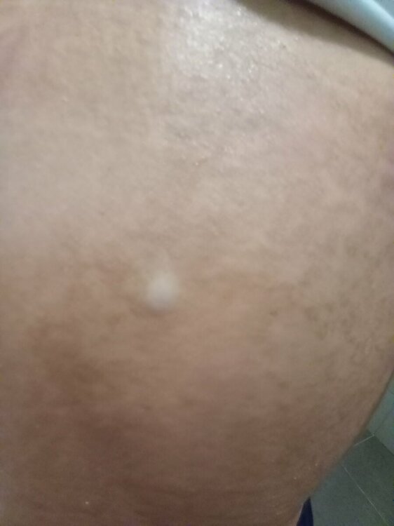 20221228_114910.jpg