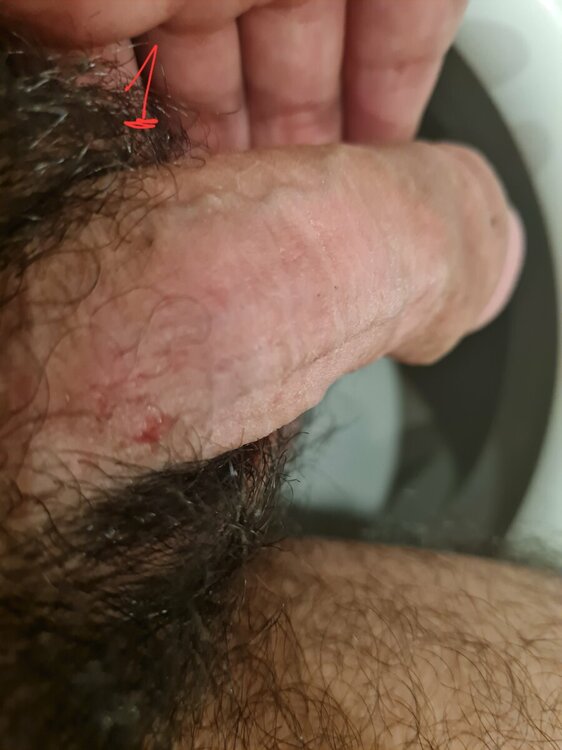 20221231_134107.jpg