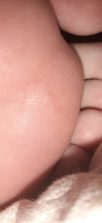20230210_170657.jpg