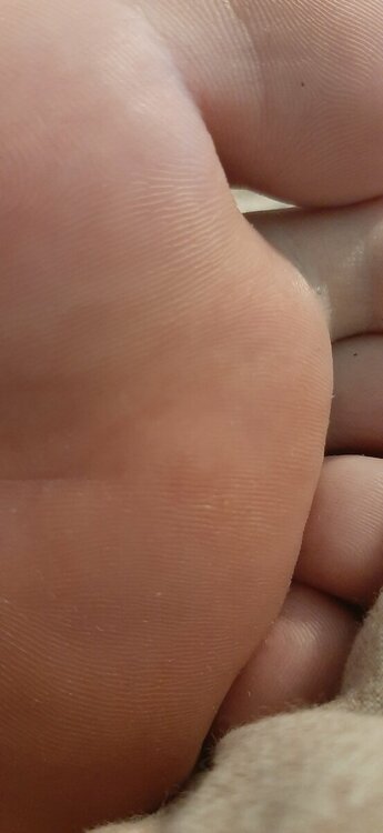 20230210_170721.jpg