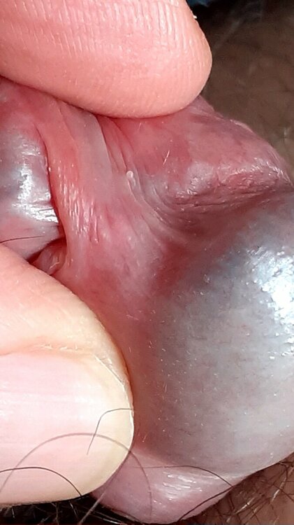 20230219_113752.jpg
