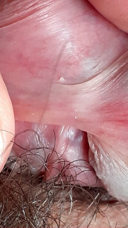 20230219_114045.jpg