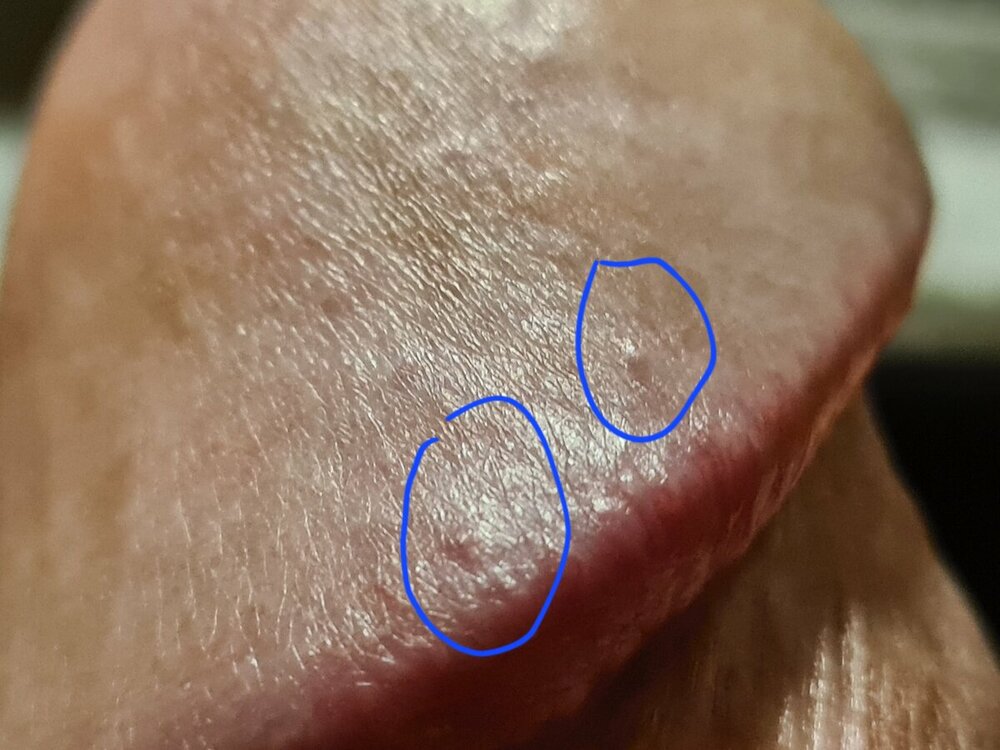 20230225_041450.jpg