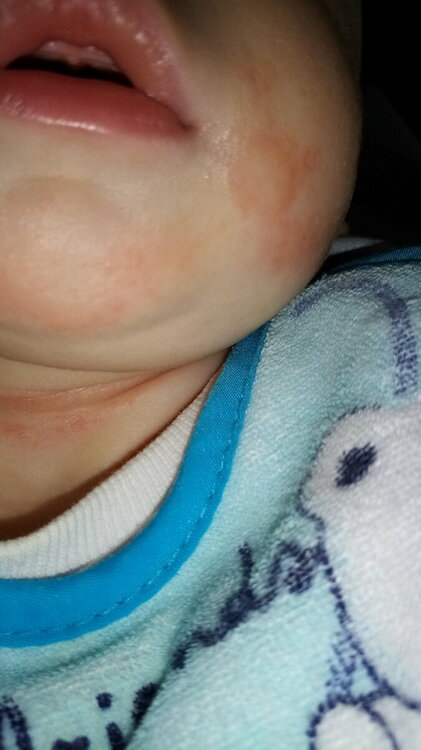 IMG-20230203-WA0024.jpeg