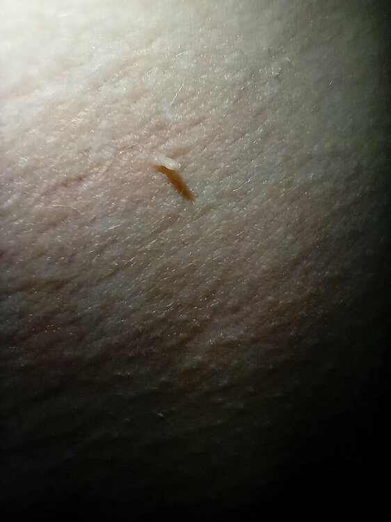 IMG20230202232833.jpg