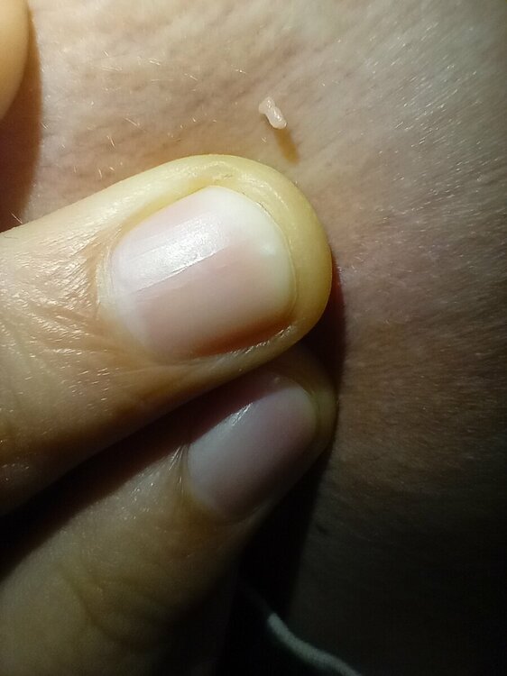 IMG20230202232946.jpg