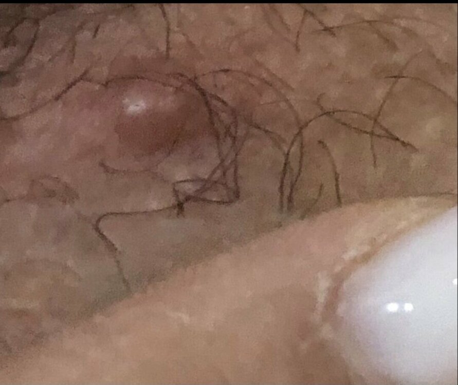 Screenshot_20230213_203124_WhatsApp.thumb.jpg.ca6f932a286f1ca4e0ba7497fd195b4f.jpg
