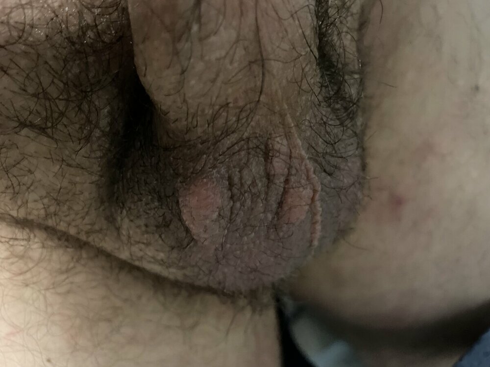 image.jpg