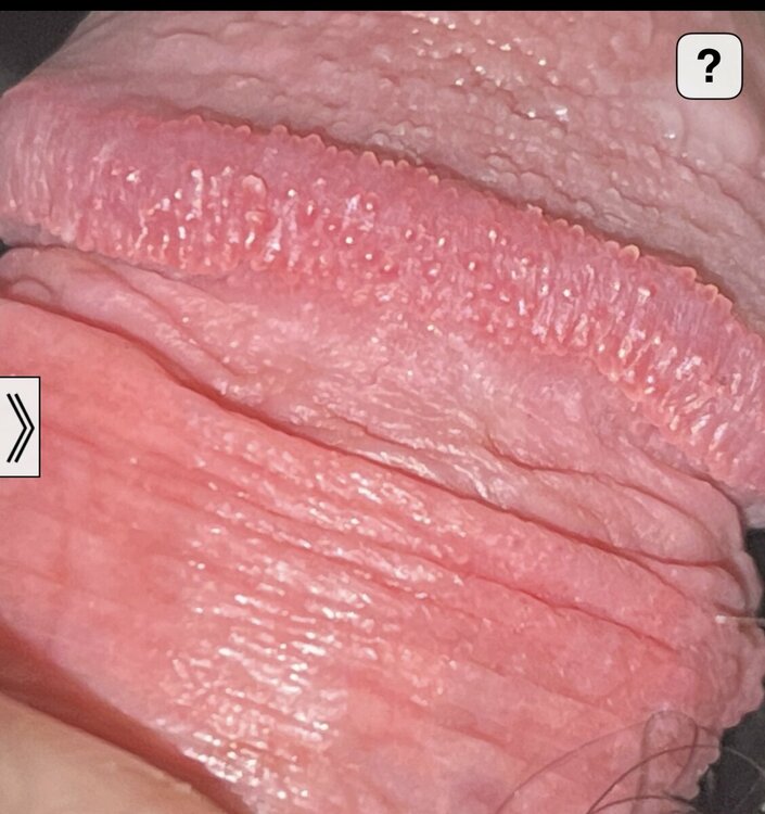11BB3D67-A0E1-4998-AEC5-A6020AABFCD8.jpeg