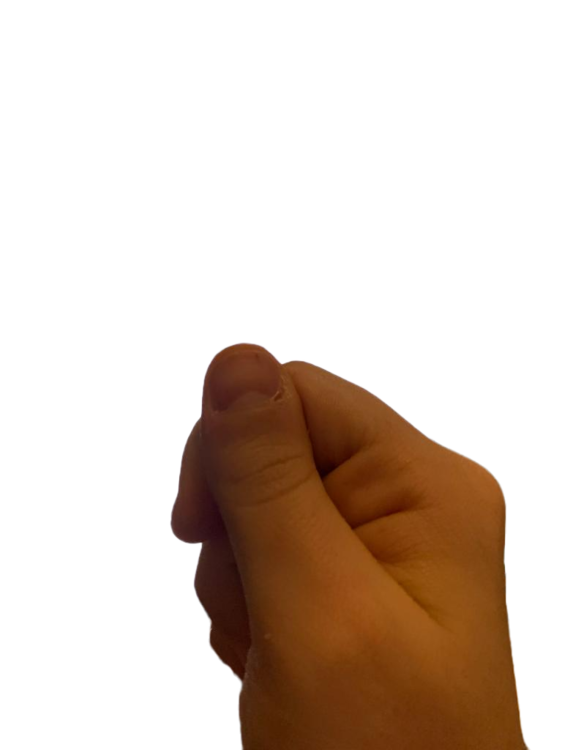 Il mio progetto.png