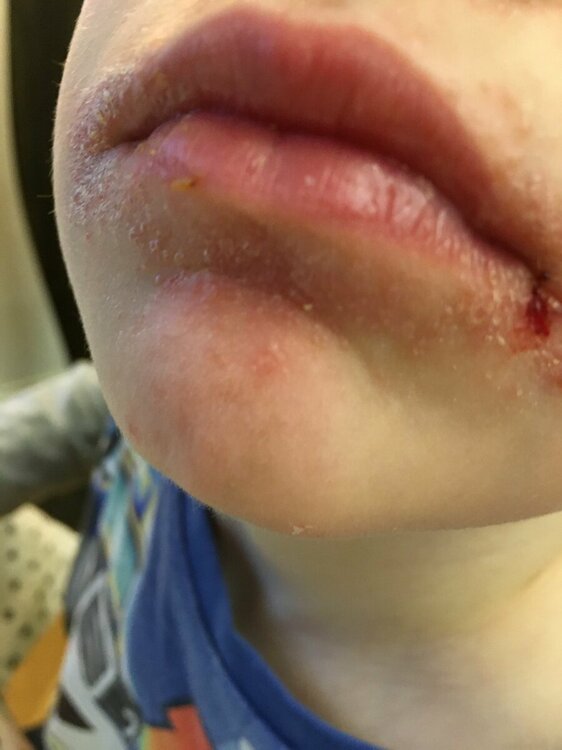 WhatsApp Image 2023-03-14 at 10.05.20.jpeg