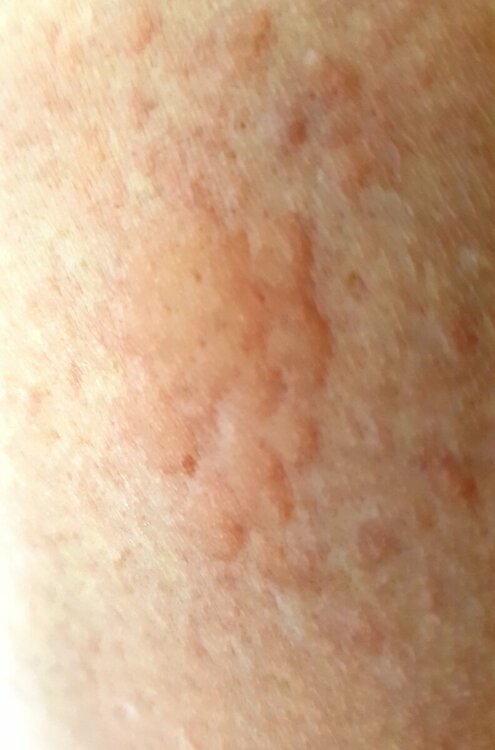 20230110_212355.jpg