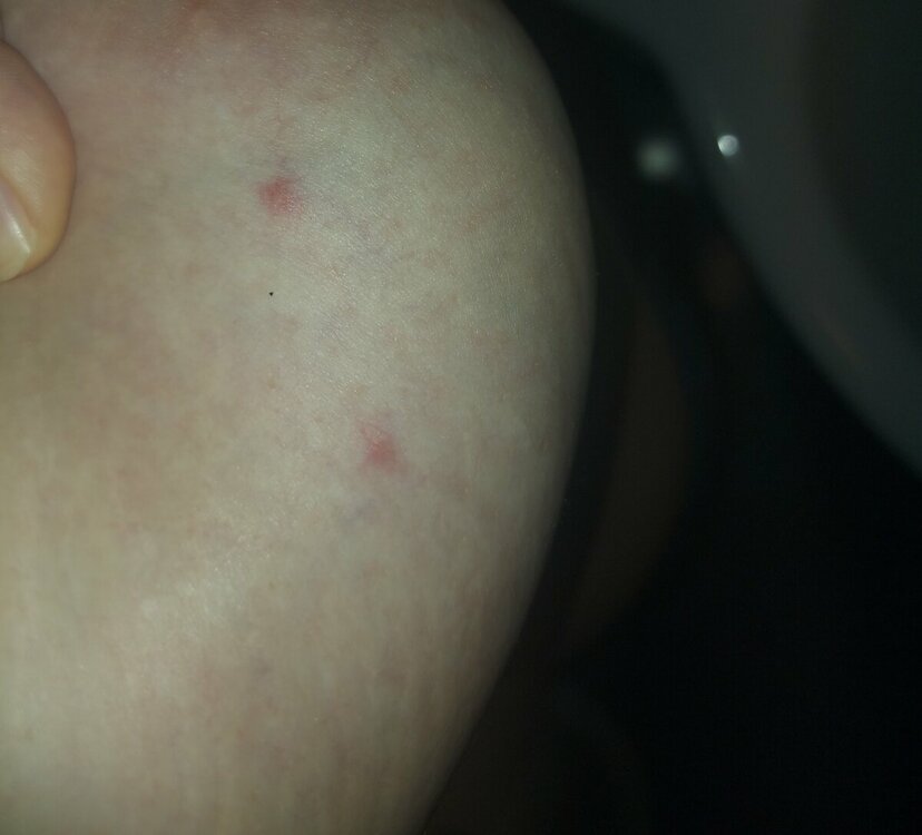 20230312_054107.jpg