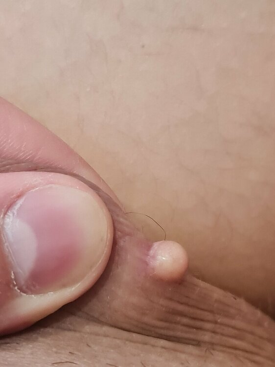 20230314_143513.thumb.jpg.129fa3484c64d1843f215d8b9134d4ec.jpg