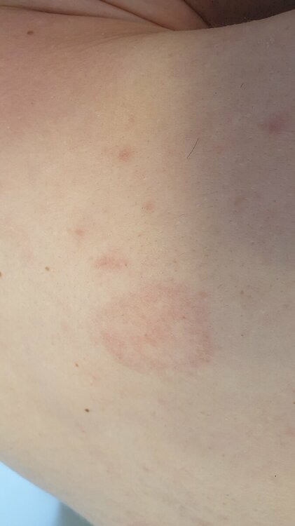 20230325_093534.jpg