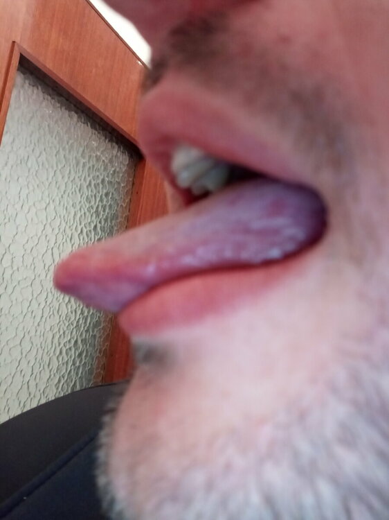 20230328_141245.jpg