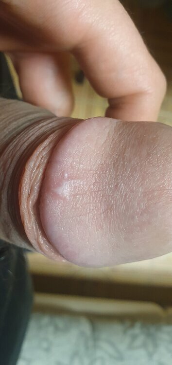 20230329_213344.jpg