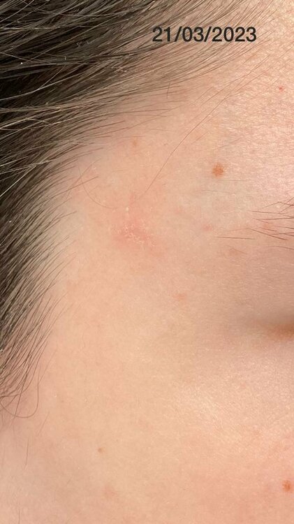 WhatsApp Image 2023-03-21 at 11.09.57.jpeg