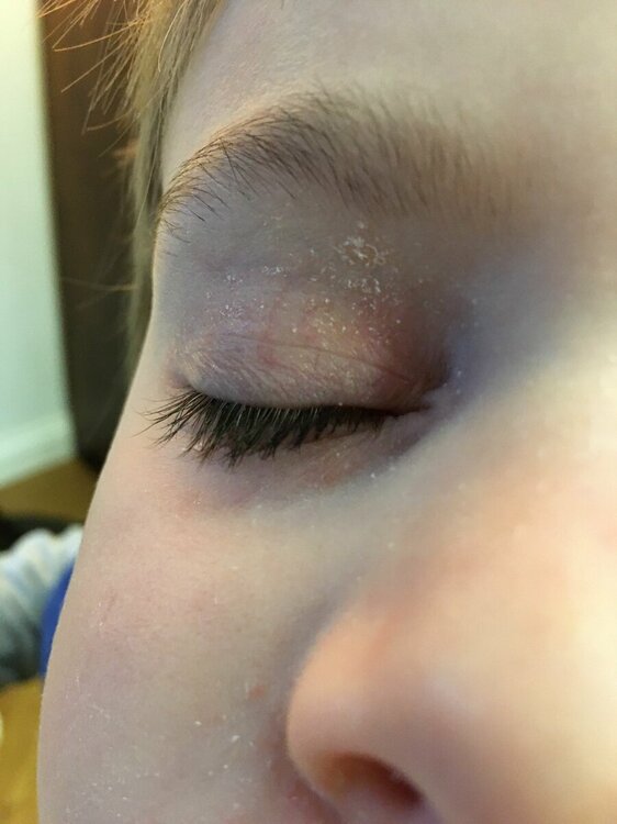 WhatsApp Image 2023-03-14 at 10.05.42.jpeg